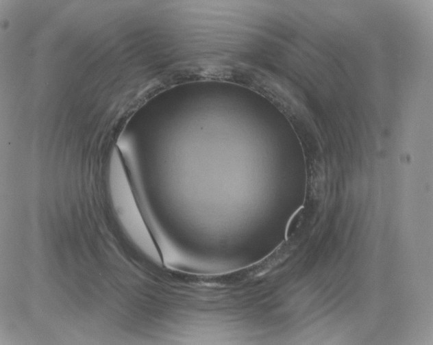 X0000083040748200702231929