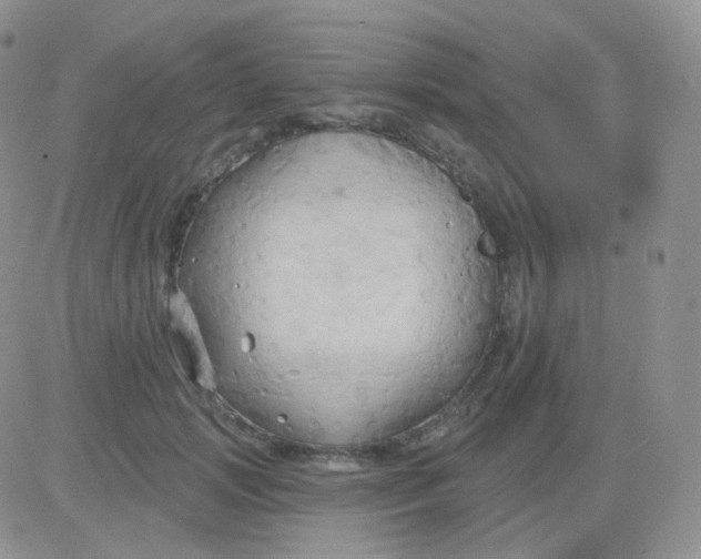 X0000083040749200702231929