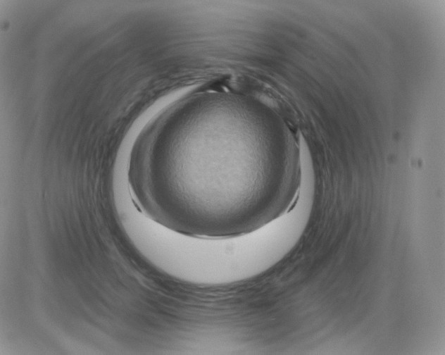 X0000083040750200702231929