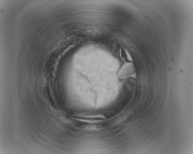 X0000083040751200702231929