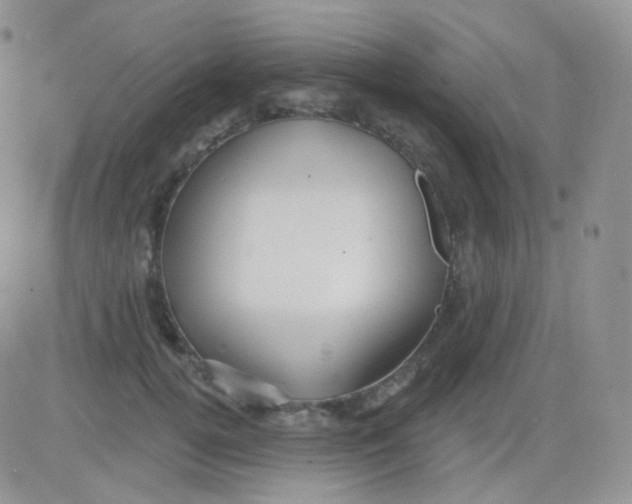 X0000083040752200702231929