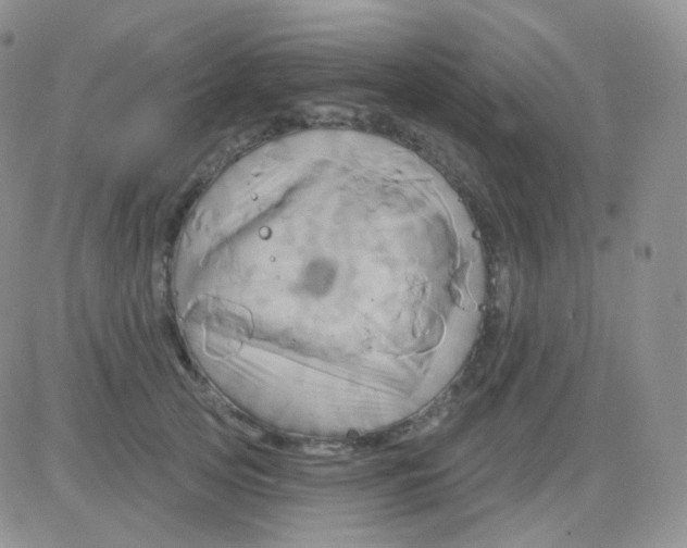 X0000083040753200702231929