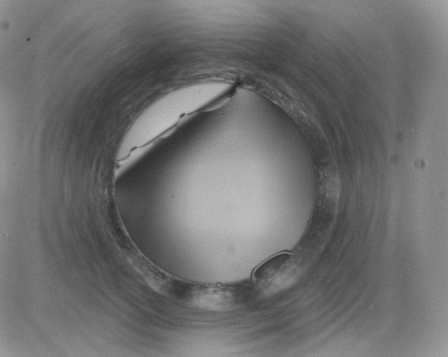 X0000083040754200702231929