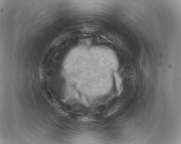 X0000083040755200702231929