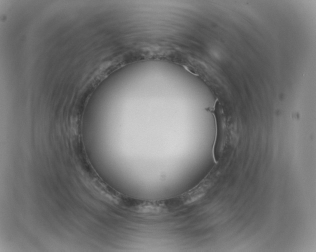 X0000083040756200702231929