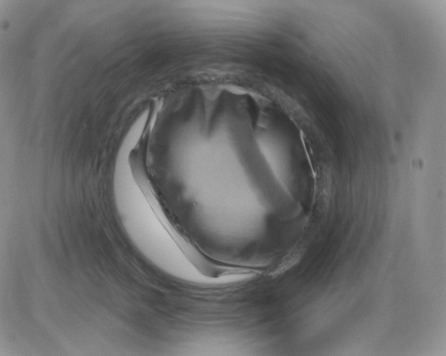 X0000083040758200702231929