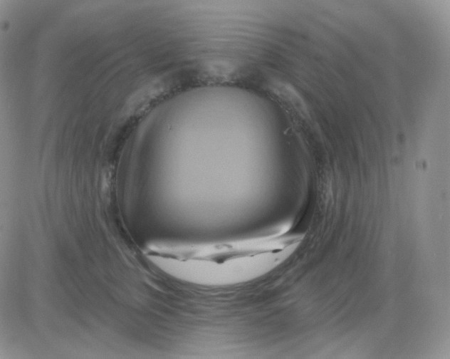 X0000083040759200702231929