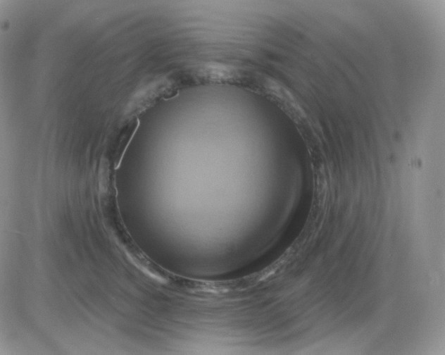 X0000083040760200702231929