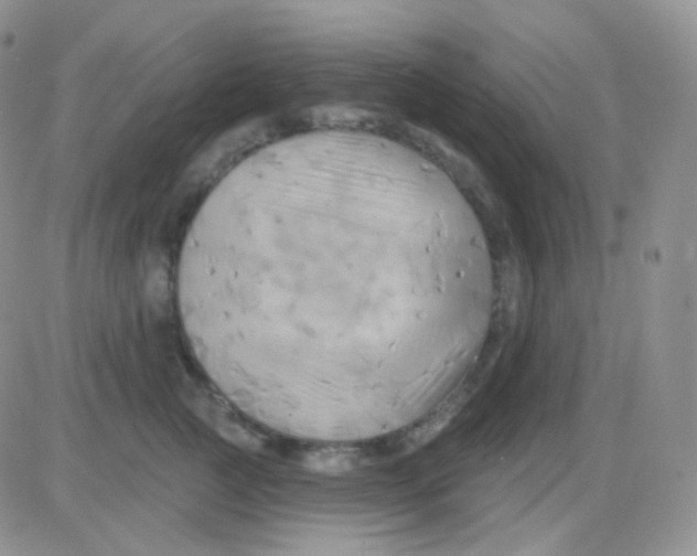 X0000083040761200702231929