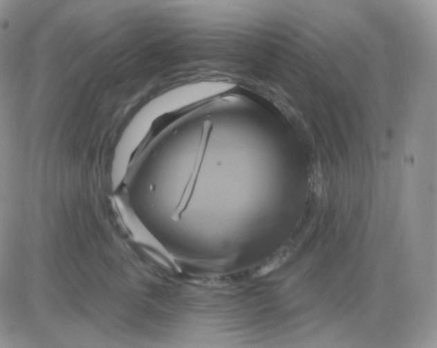 X0000083040763200702231929