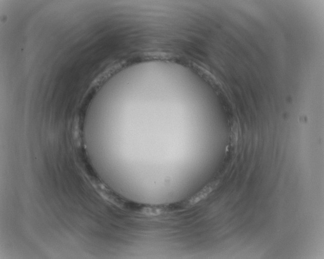 X0000083040764200702231929