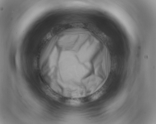 X0000083040765200702231929