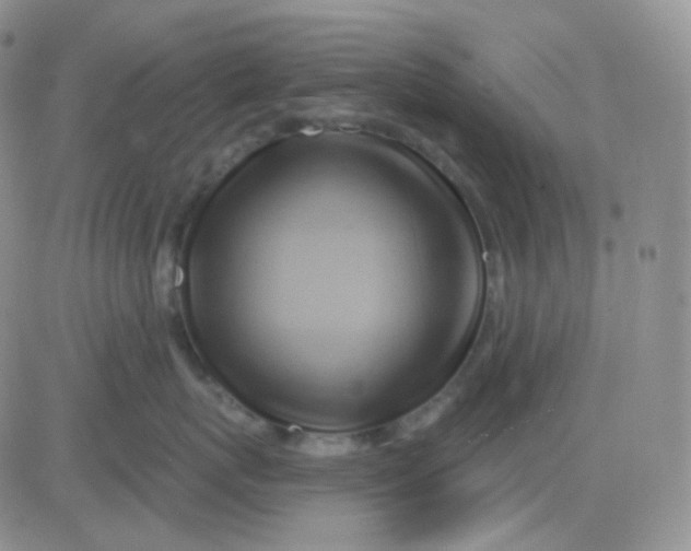 X0000083040767200702231929