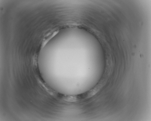 X0000083040768200702231929