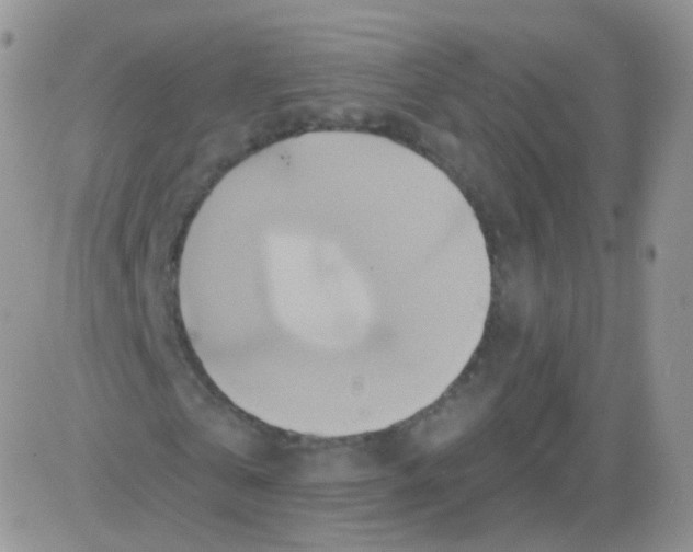 X0000083040769200702231929