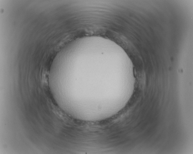 X0000083040770200702231929