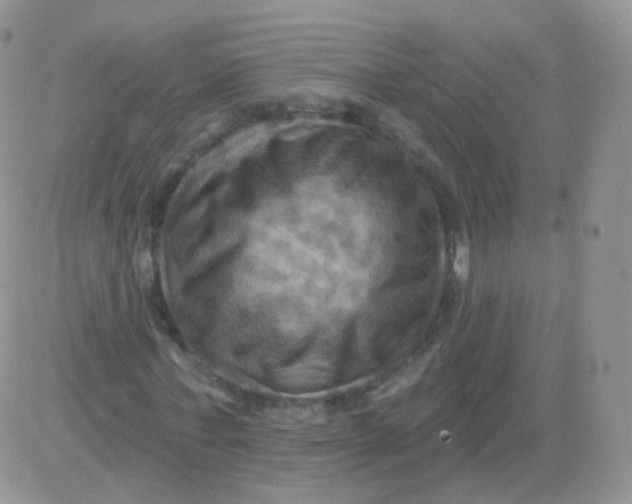 X0000083040771200702231929