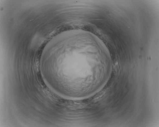 X0000083040772200702231929