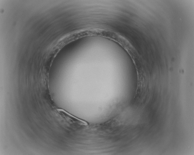 X0000083040773200702231929