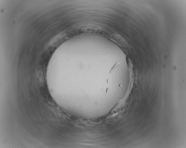 X0000083040774200702231929