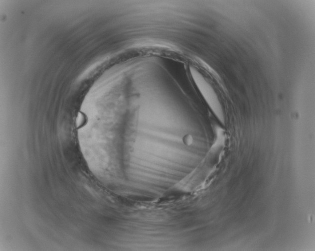 X0000083040775200702231929