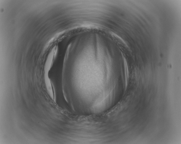 X0000083040776200702231929