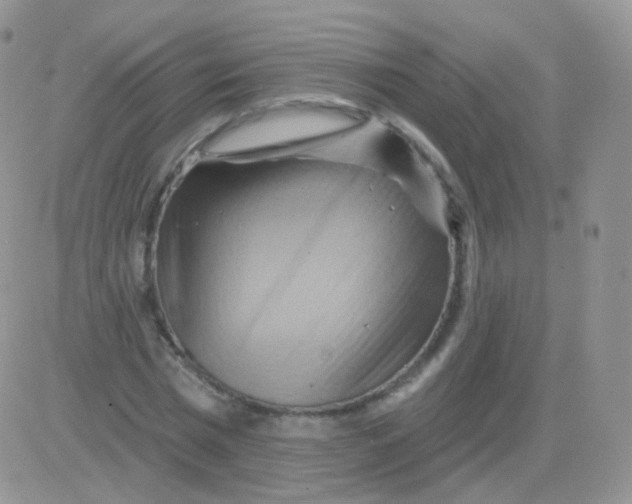 X0000083040777200702231929