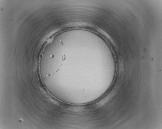 X0000083040778200702231929