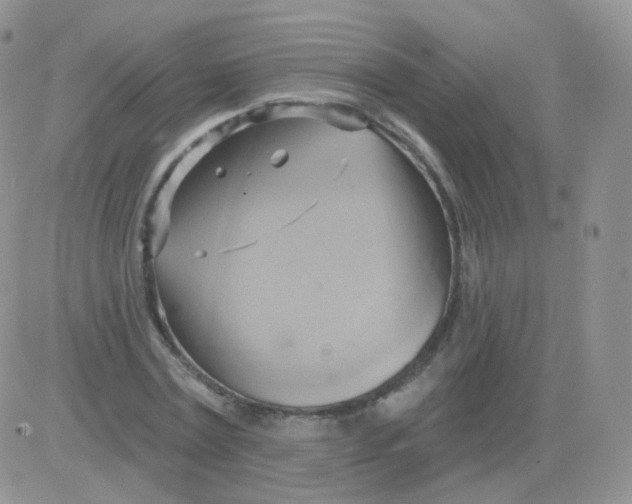 X0000083040779200702231929