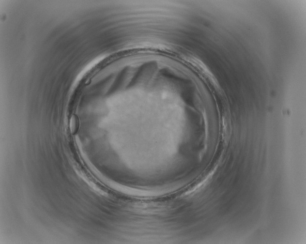 X0000083040780200702231928