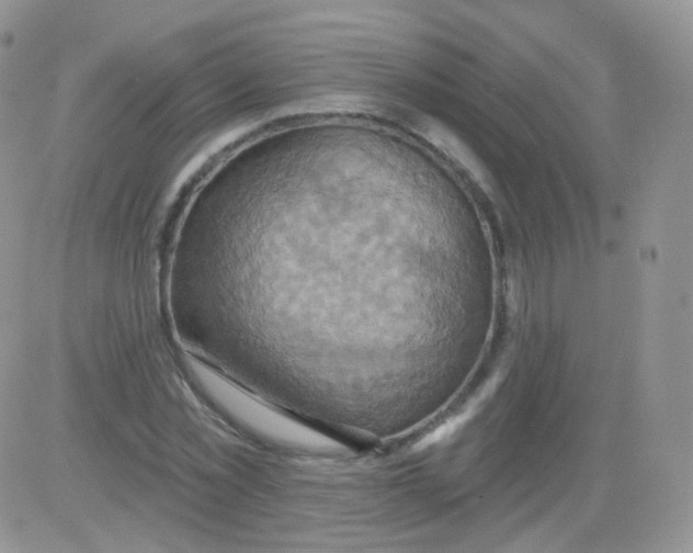 X0000083040781200702231928