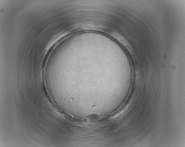 X0000083040782200702231928