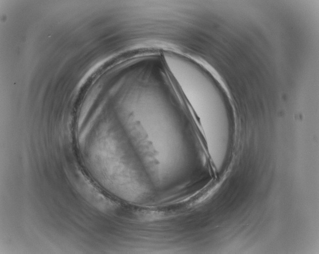 X0000083040783200702231928