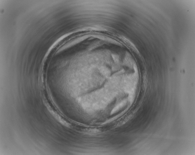 X0000083040784200702231928