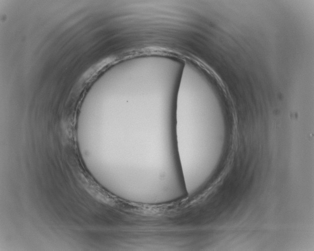 X0000083040785200702231928