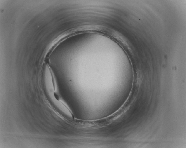 X0000083040786200702231928