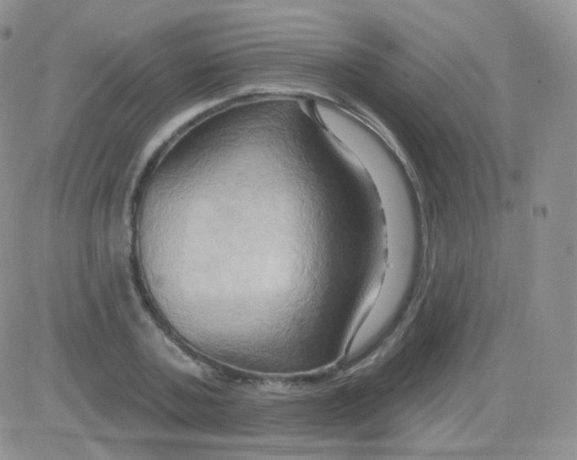 X0000083040787200702231928