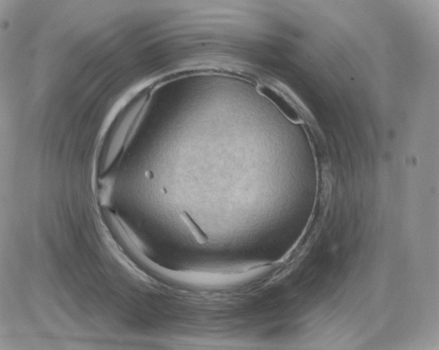 X0000083040788200702231928