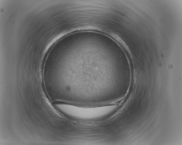 X0000083040789200702231928