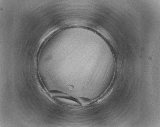 X0000083040790200702231928