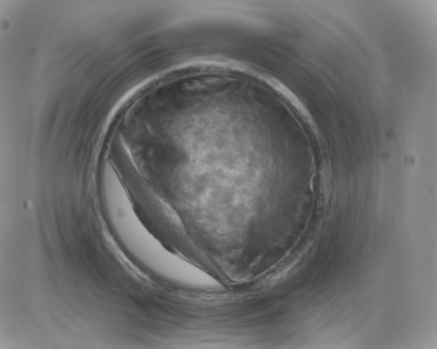 X0000083040791200702231928