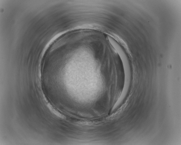 X0000083040792200702231928