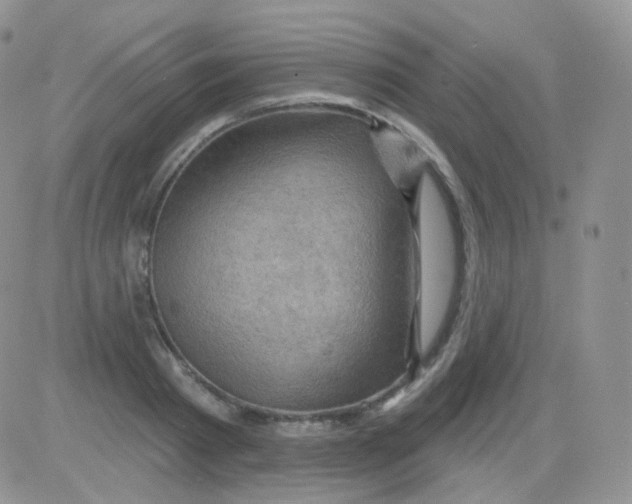 X0000083040793200702231928