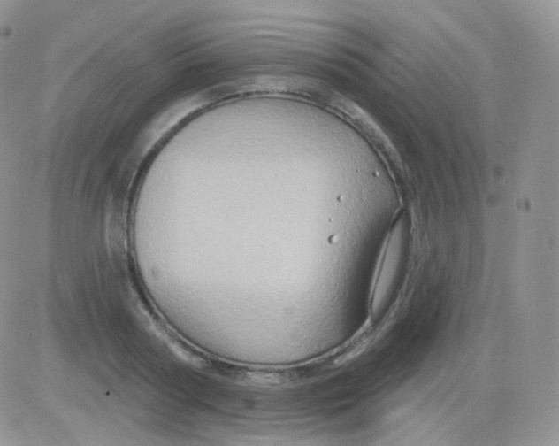 X0000083040794200702231928