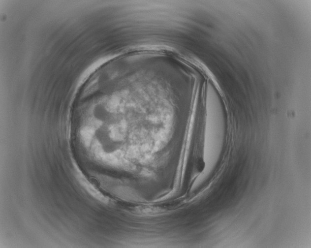 X0000083040795200702231928