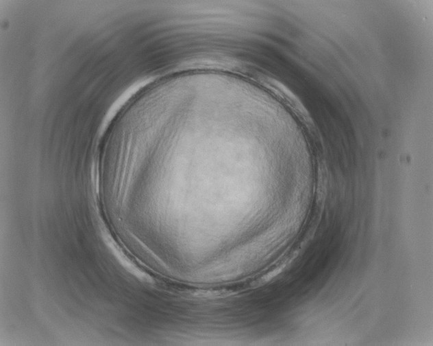 X0000083040796200702231928