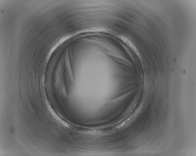 X0000083040797200702231928