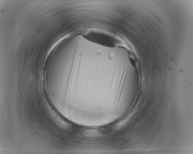 X0000083040798200702231928