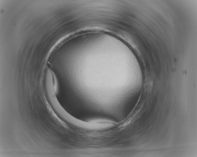 X0000083040799200702231928