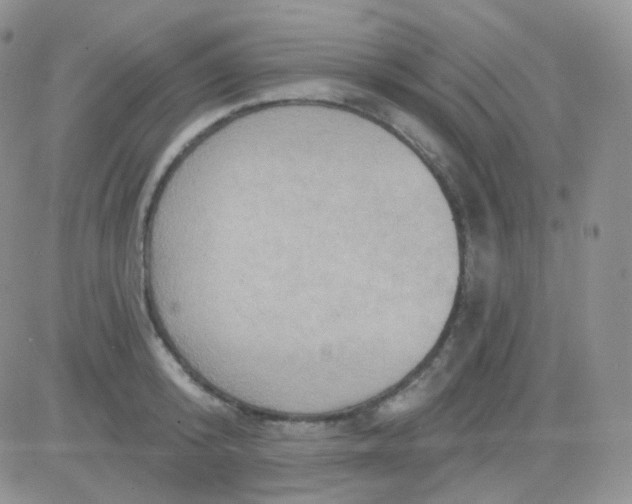 X0000083040800200702231928